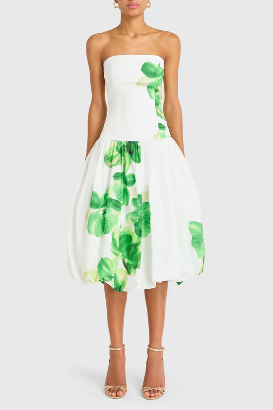 Tivoli Dress view 1